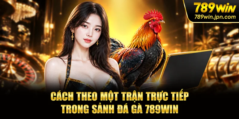 Cách theo một trận trực tiếp trong sảnh đá gà 789win