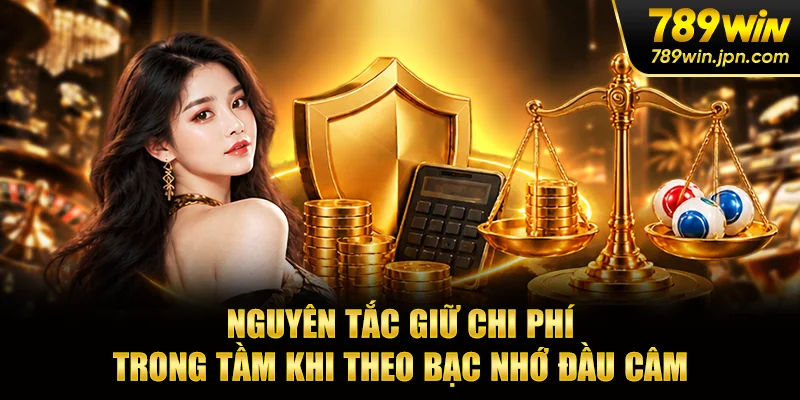 Nguyên tắc giữ chi phí trong tầm khi theo bạc nhớ đầu câm