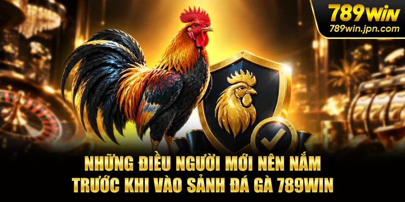 Những điều người mới nên nắm trước khi vào sảnh đá gà 789win